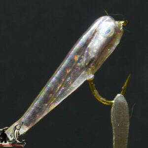 FlyCF1131_993