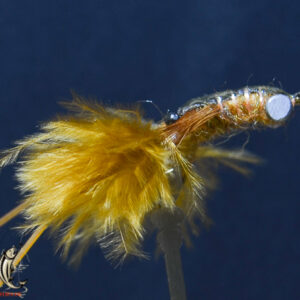 FlyCF1131_994