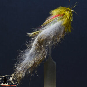 FlyCF1131_998