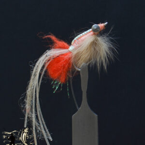 Spawning Shrimp