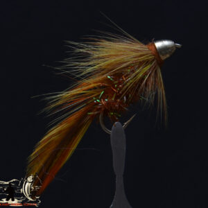 Conehead Orange Blossom