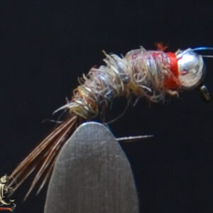 CandyFlies_999_257
