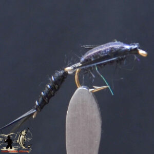 CandyFlies_999_356