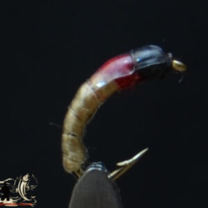CandyFlies_999_365