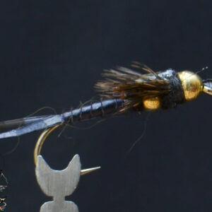CandyFlies_999_369
