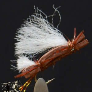 CandyFlies_999_372