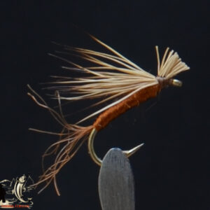CandyFlies_999_379