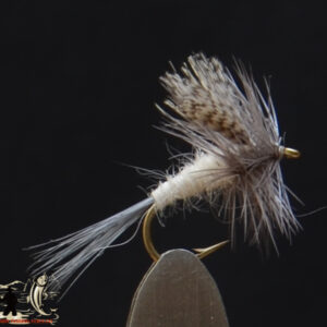 CandyFlies_999_392