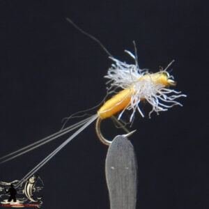 CandyFlies_999_397