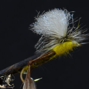 CandyFlies_999_468