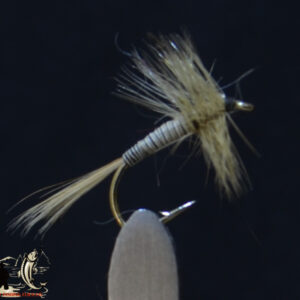 CandyFlies_999_476