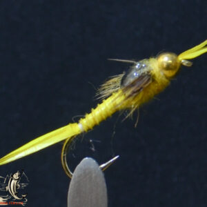 CandyFlies_999_519