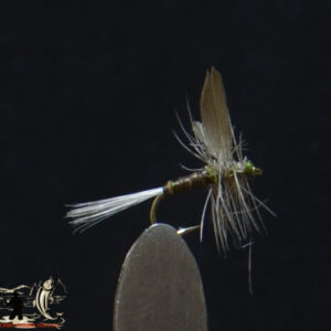 CandyFlies_999_557