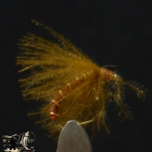 CandyFlies_999_562
