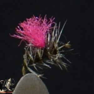CandyFlies_999_563