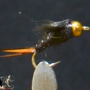 CandyFlies_999_564