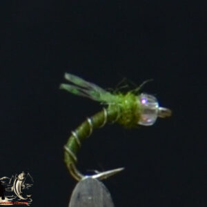 CandyFlies_999_572