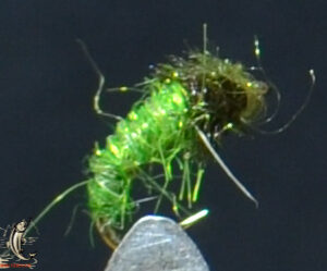 CandyFlies_999_710