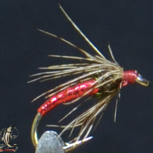 CandyFlies_999_713