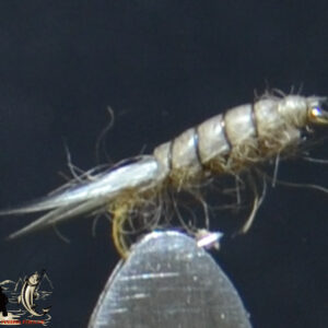 CandyFlies_999_723