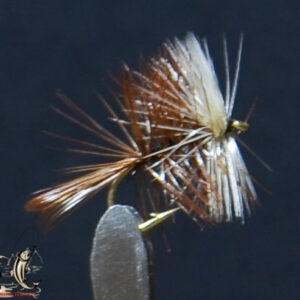 Fly606_10