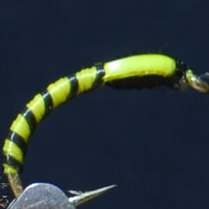 Fly606_100
