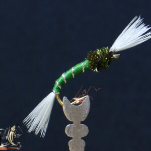 Green buzzer
