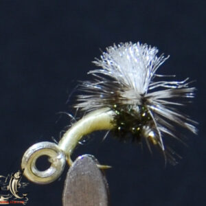Fly606_119