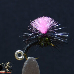Wink & dink black