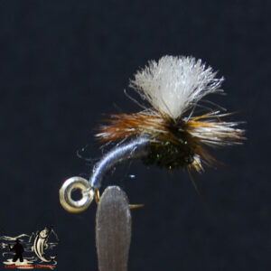 Wink & dink adams