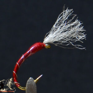 Epoxy buzzer red