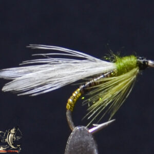 Sedge olive quill