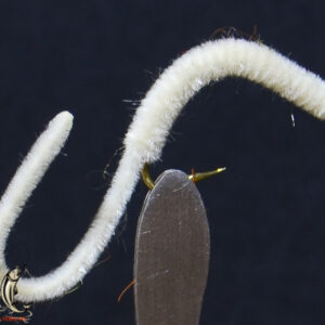 San juan worm white