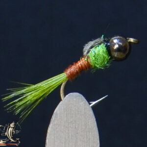 Tungsten olive owill