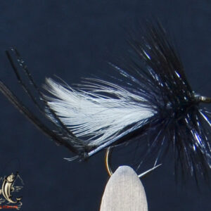 Fly606_229