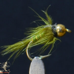 Goldhead olive nymph