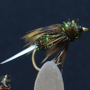 Peacock nymph