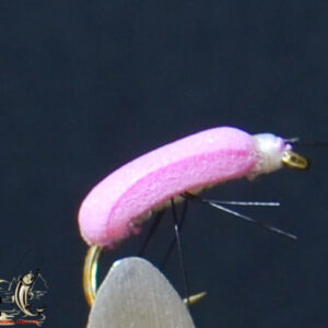 Foam beetle pink