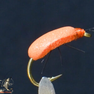 Foam beetle orange