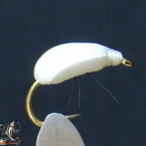 Foan beetle white