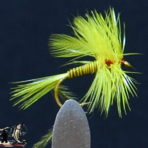 May fly yellow
