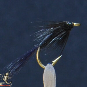 Black nymph