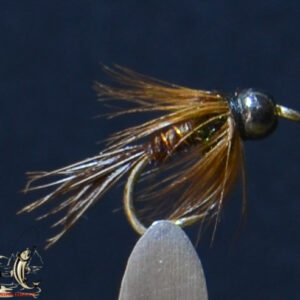 Bh hackled pheasant tail