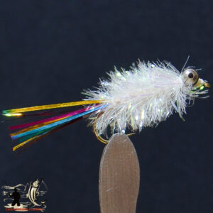 Biot nymph brown
