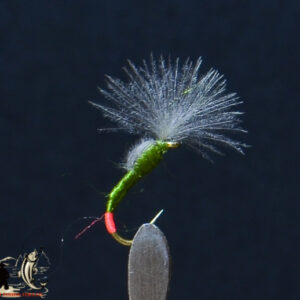 CDC shuttle cock olive