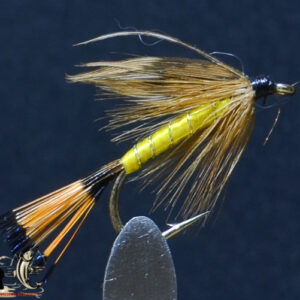 Fly606_34