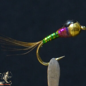 Fly606_349