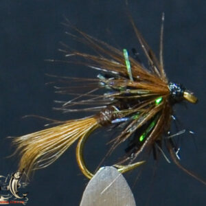 Cruncher black