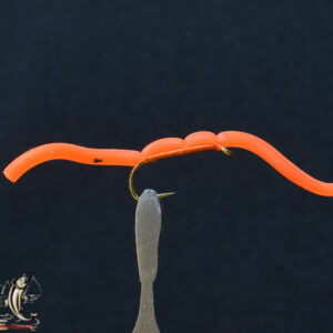 Squirmy worm orange body