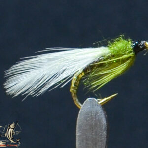 Winged white olive wet